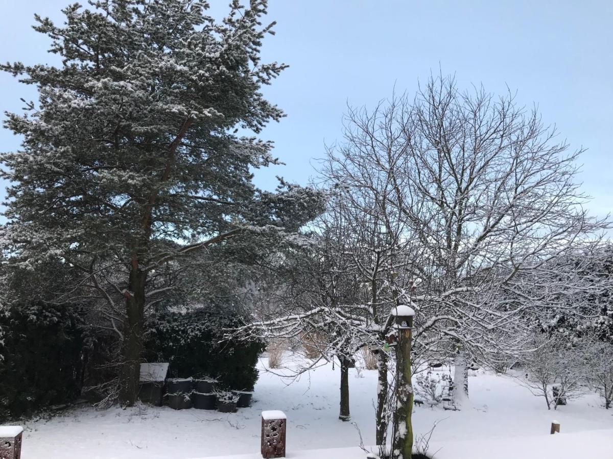 Kleine Auszeit Mit Aussicht Velbert Toenisheide Διαμέρισμα Εξωτερικό φωτογραφία