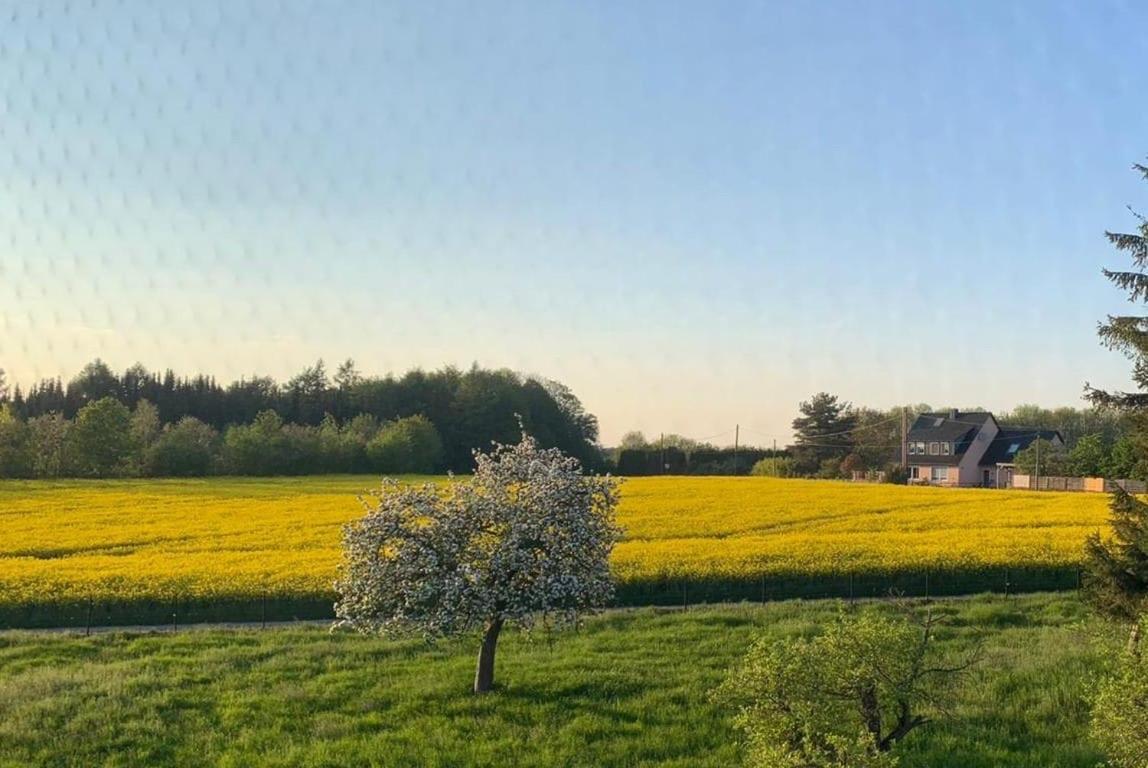 Kleine Auszeit Mit Aussicht Velbert Toenisheide Διαμέρισμα Εξωτερικό φωτογραφία